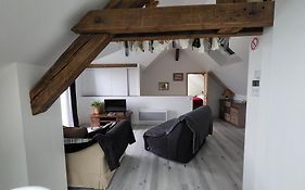 Au Gré de L'Ill Les toits d'Horbourg
